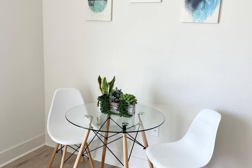 Studio Apartment, Queen Bed, Wifi, Kitchen, Washer & Dryer In 샬럿 외부 사진